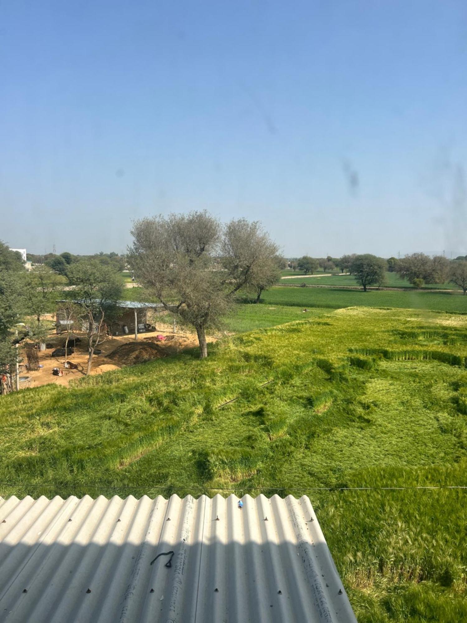 Hotel Shree Mahalok And Restaurant
